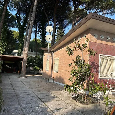 Intera Casa, 100 M Dal Mare, Grande Giardino * Τζεσόλο Λίντο